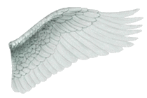 right wing
